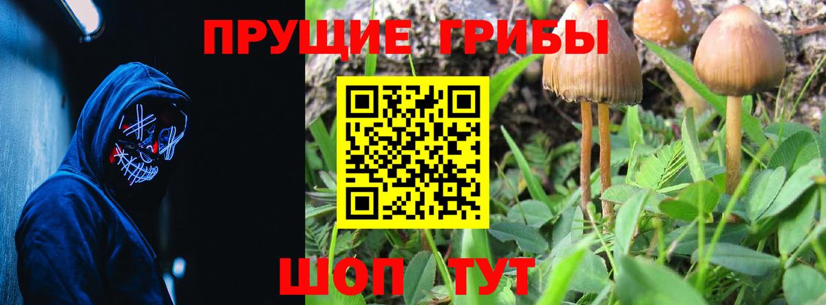 Тельмана  Псилоцибиновые грибы прущие грибы  Вход с VPN 